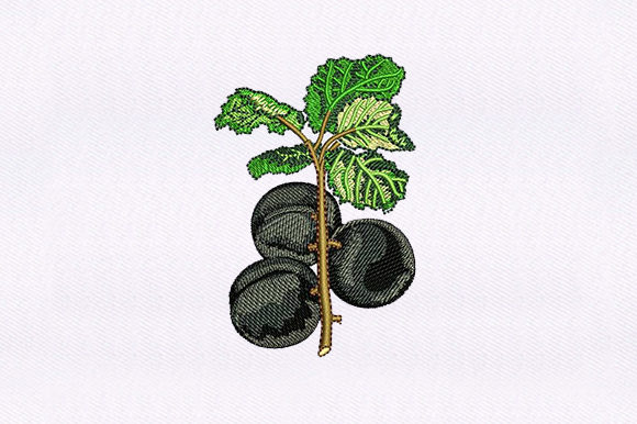 Black Cherry Vines: A Craft Fair-Ready Embroidery Design