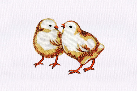 Chicks Chicken Embroidery Design Review