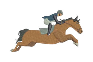 Horse Show Jumping Profile